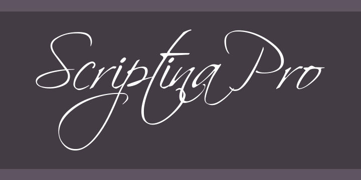 Download Scriptina Pro Font For Mac